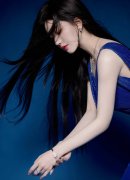 违的规律、组织规律、清廉规律和糊口规律